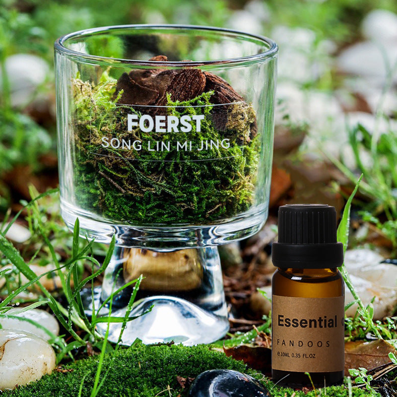 Matsu Forest Secret Realm Pine Wood Moss Aroma Diffuser Cup Forest Style Flameless Aromatherapy Diffuser Ornament Home Long-lasting Fragrance Gift